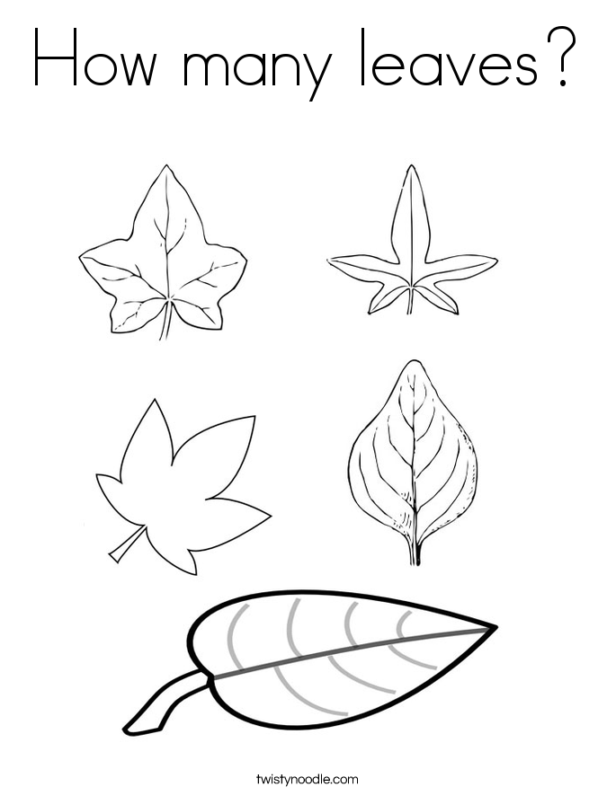How many leaves Coloring Page - Twisty Noodle