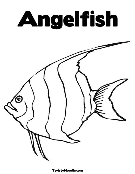 rencontres amoureuses haut rhin