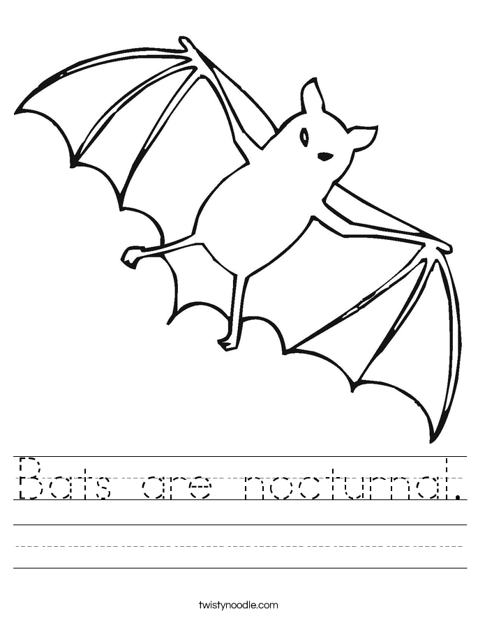 Bats are nocturnal Worksheet Twisty Noodle