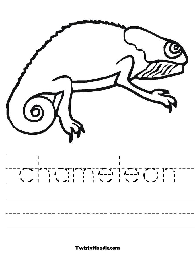 Chameleon Outline