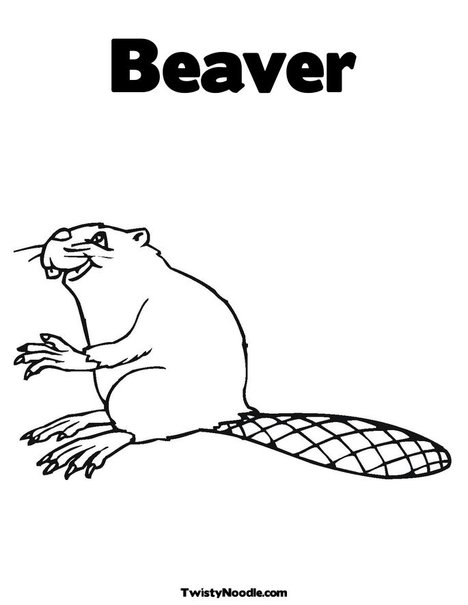 oregon state beavers coloring pages - photo #1