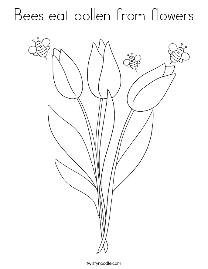 Bees Eat Pollen From Flowers Coloring Page Twisty Noodle Bees eat pollen from flowers coloring page twisty noodle