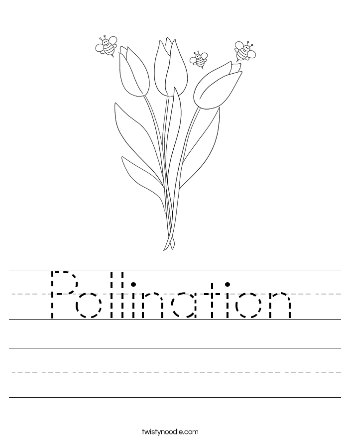 Pollination Worksheet - Twisty Noodle