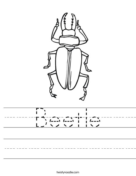 Beetle Worksheet - Twisty Noodle