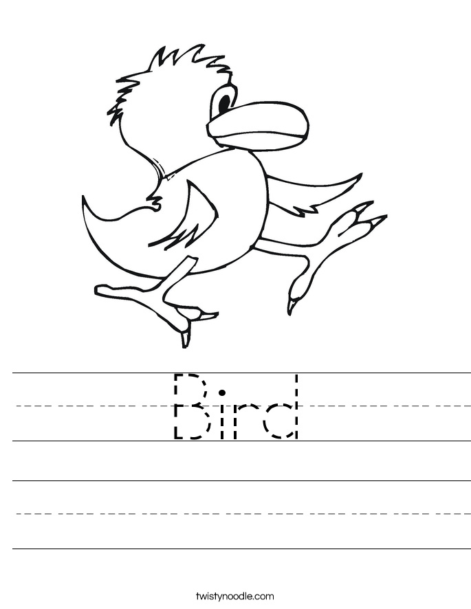Bird Worksheet - Twisty Noodle
