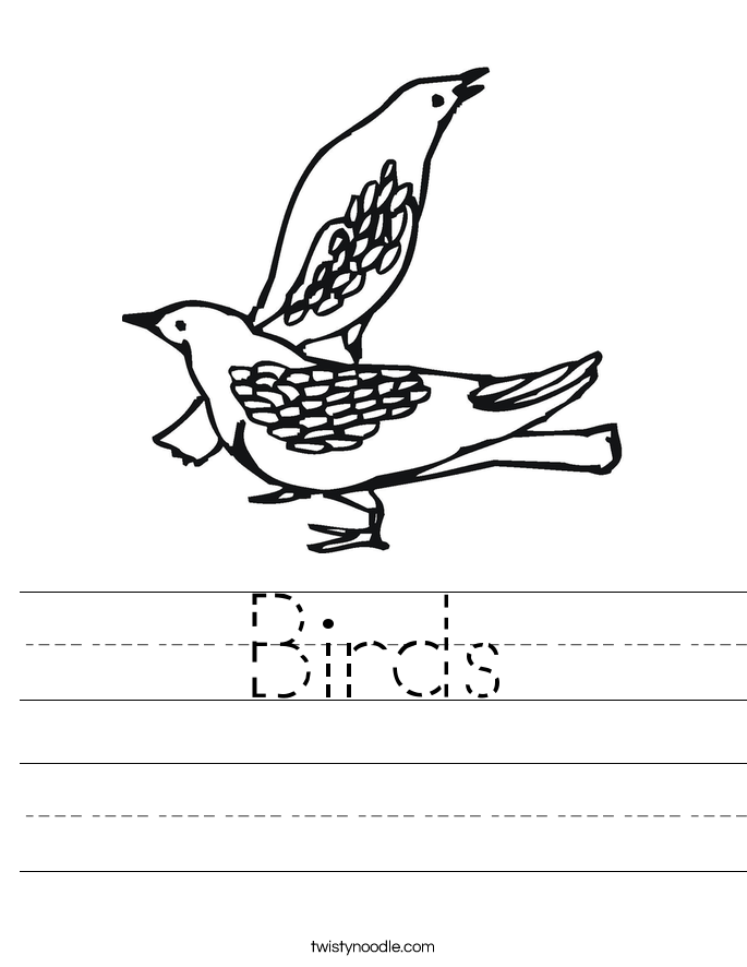 Birds Worksheet Twisty Noodle Birds Worksheet Twisty Noodle