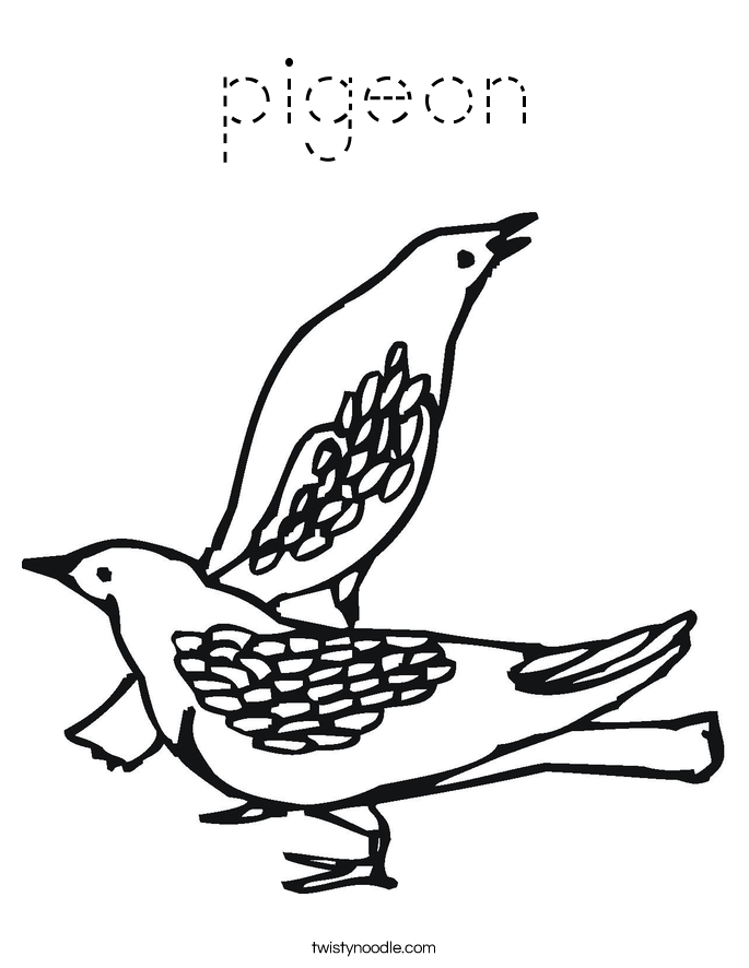 pigeon Coloring Page - Tracing - Twisty Noodle