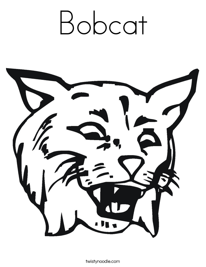 bobcat coloring page