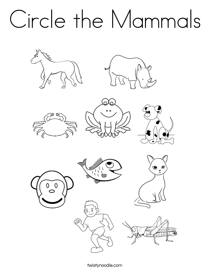 mammal coloring pages - photo #6