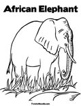 African Elephant Coloring Page