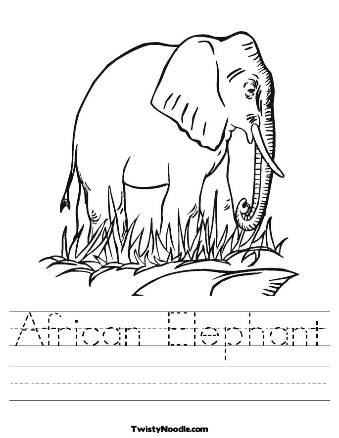 Elephant in Grass Worksheet