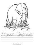 African Elephant Worksheet