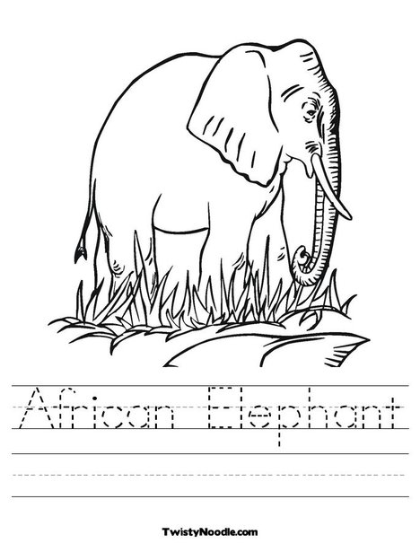 Elephant in Grass Worksheet