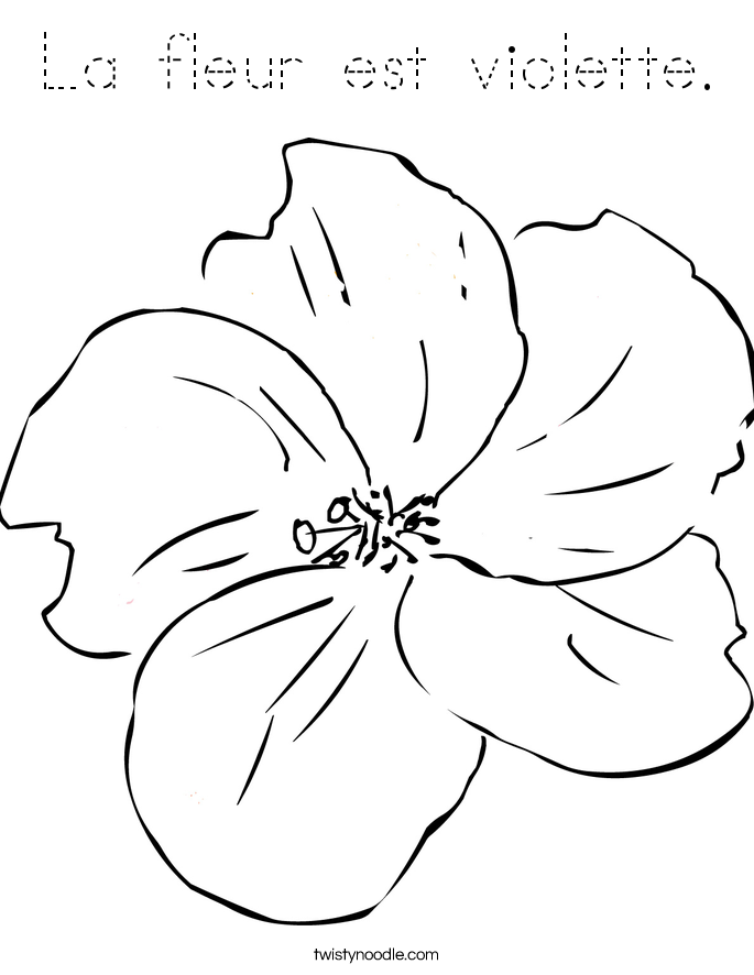 Violet Coloring Sheets Pages Violet Coloring Sheets Pages