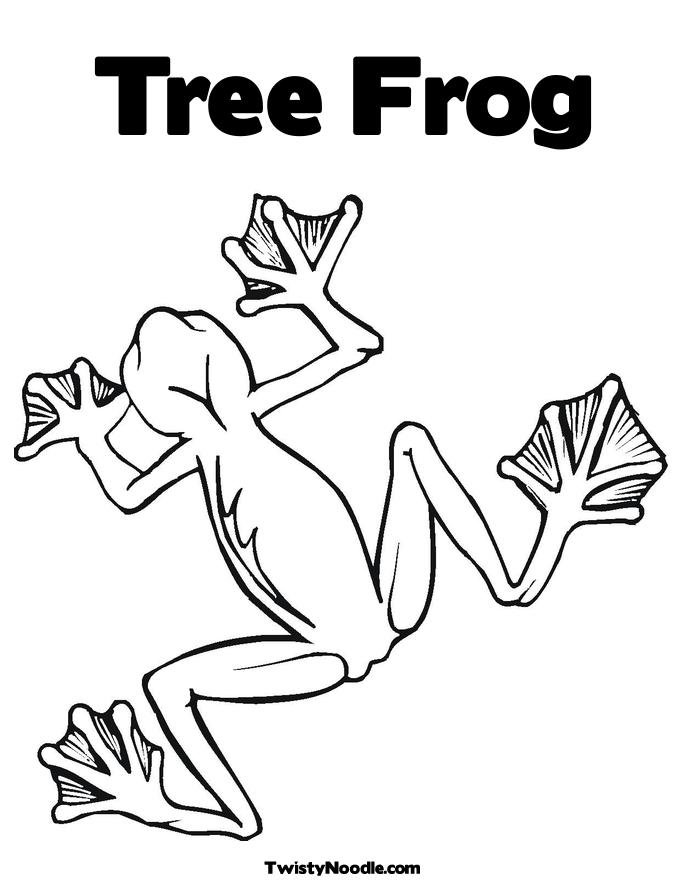 tree frog outline