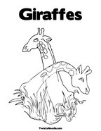 Giraffes Coloring Page