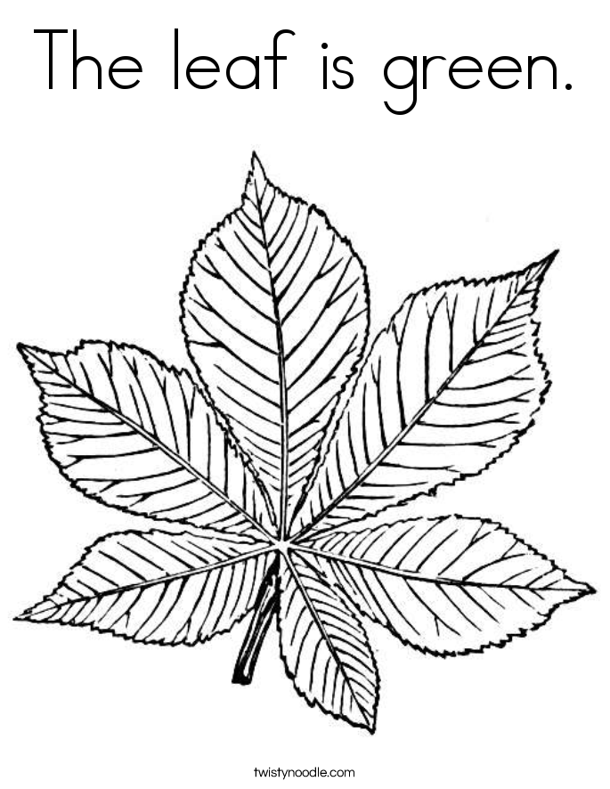 The leaf is green Coloring Page - Twisty Noodle