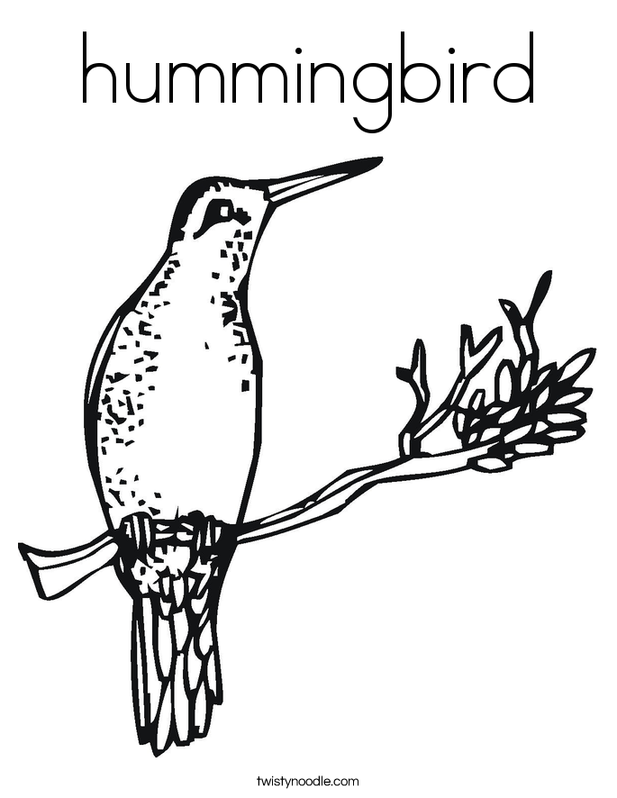 hummingbird coloring page