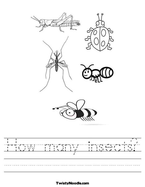 bugs worksheets