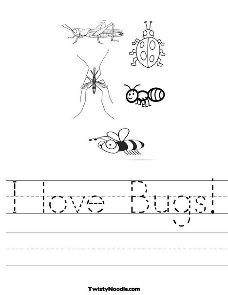 bugs worksheets