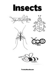 Insects Coloring Page