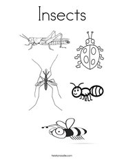 Insects Coloring Page