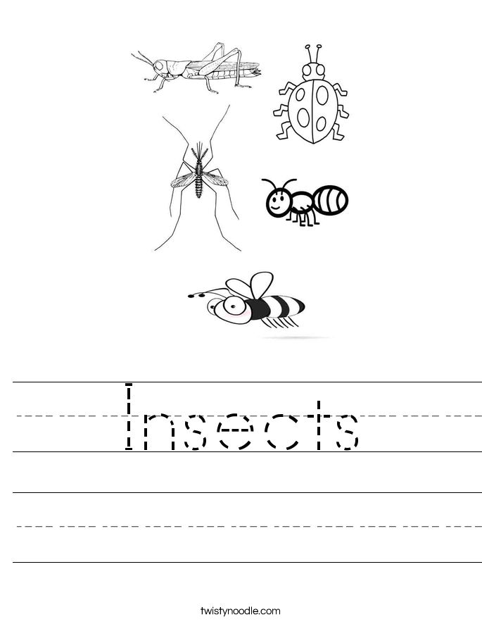 Insects Worksheet - Twisty Noodle