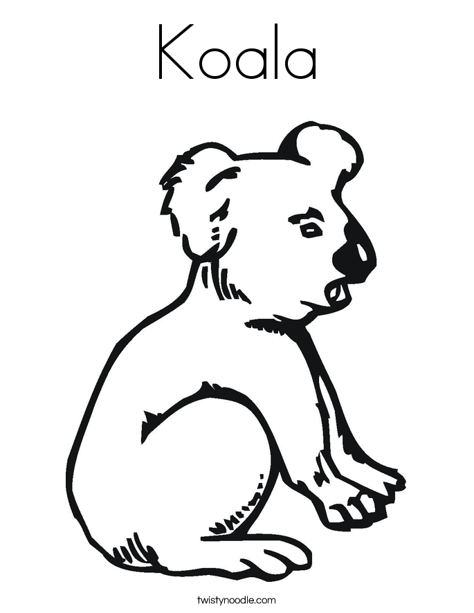 template of koala koala coloring page twisty noodle template of koala koala coloring page twisty noodle