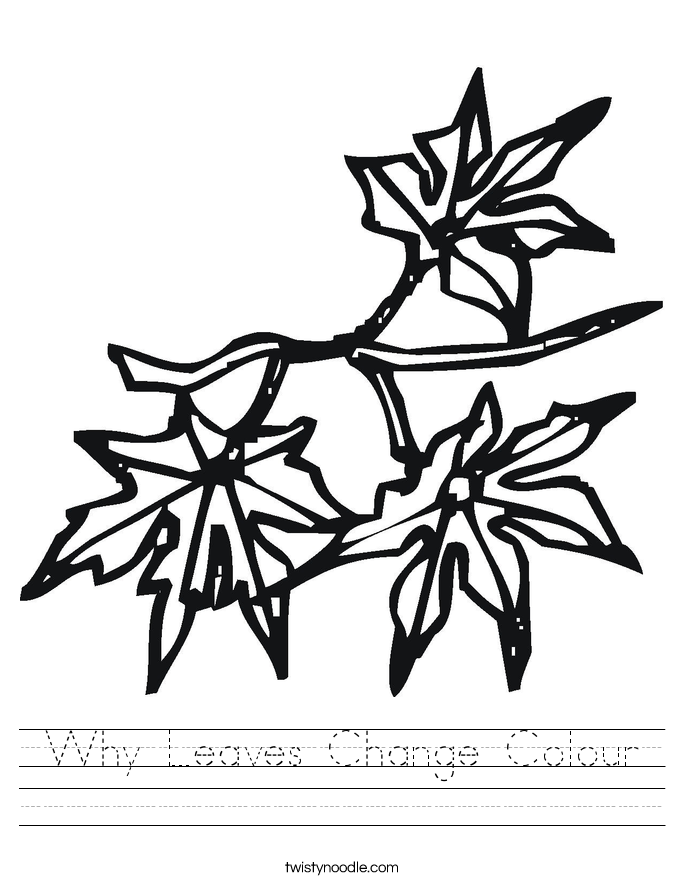 NEW 727 COUNTING LEAVES WORKSHEET Counting Worksheet NEW 727 COUNTING LEAVES WORKSHEET Counting Worksheet