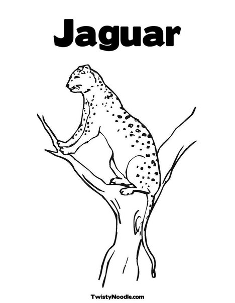 jaguar coloring pages - photo #13