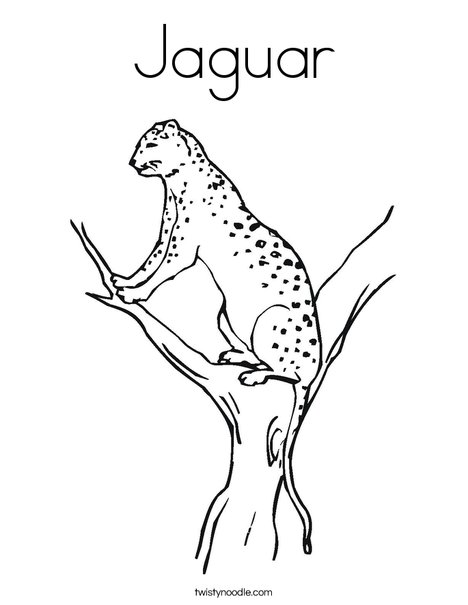 jaguar animal coloring pages - photo #36