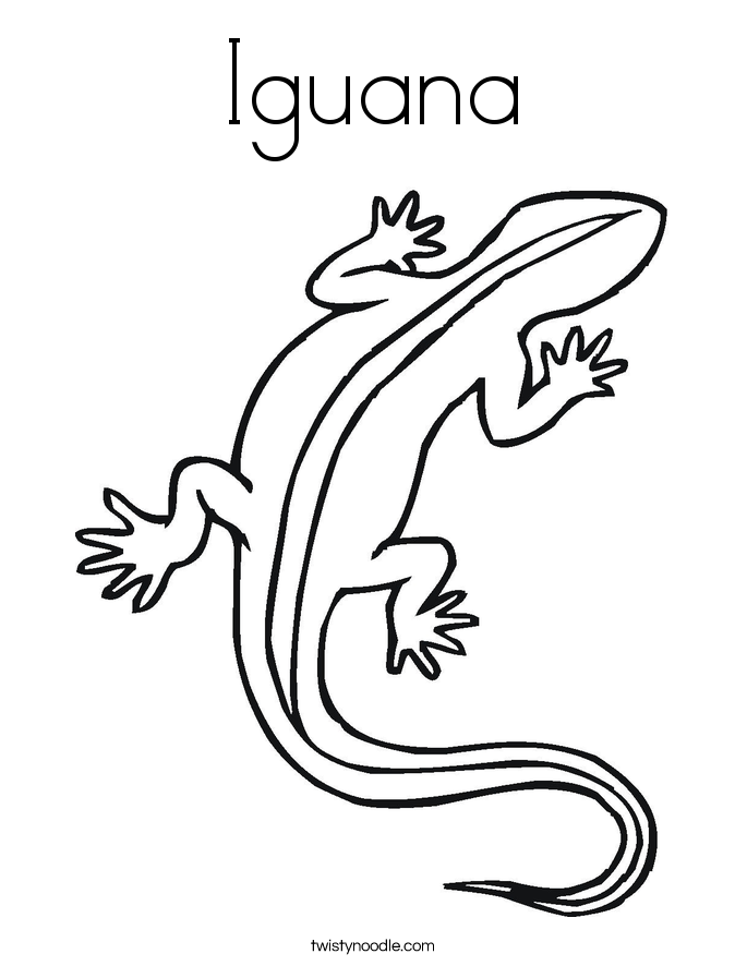 galapagos iguanas coloring pages - photo #7