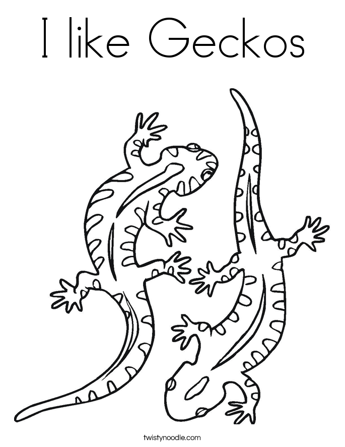 I like Geckos Coloring Page Twisty Noodle