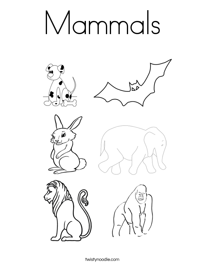 mammal coloring pages - photo #1