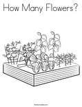 How Many Flowers?Coloring Page