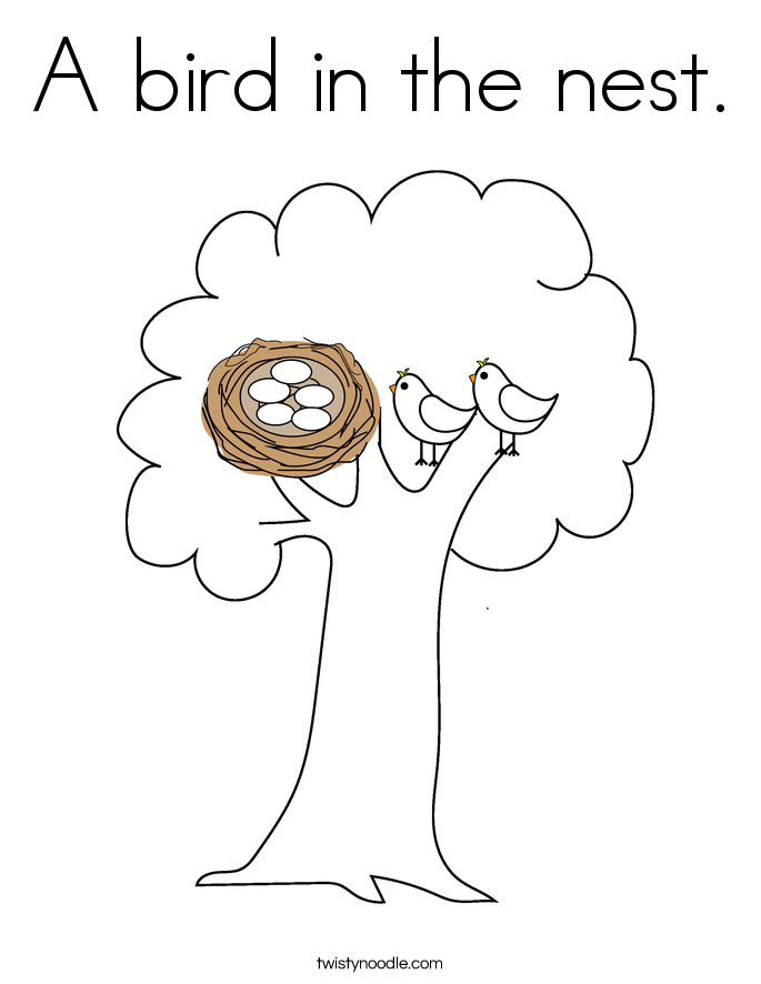 A bird in the nest Coloring Page - Twisty Noodle