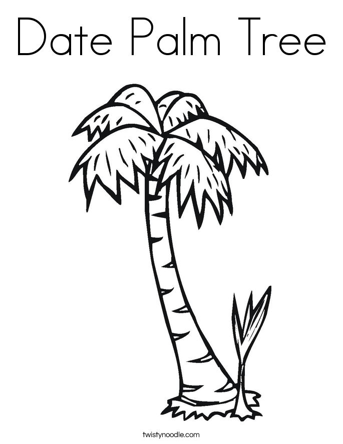 date palm coloring pages - photo #2