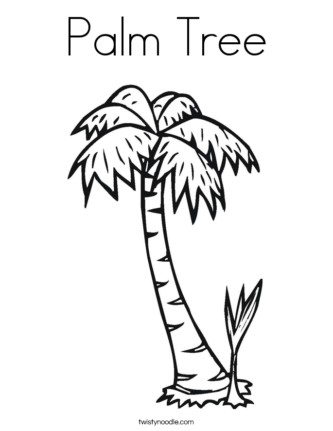 palm tree coloring pages - photo #13