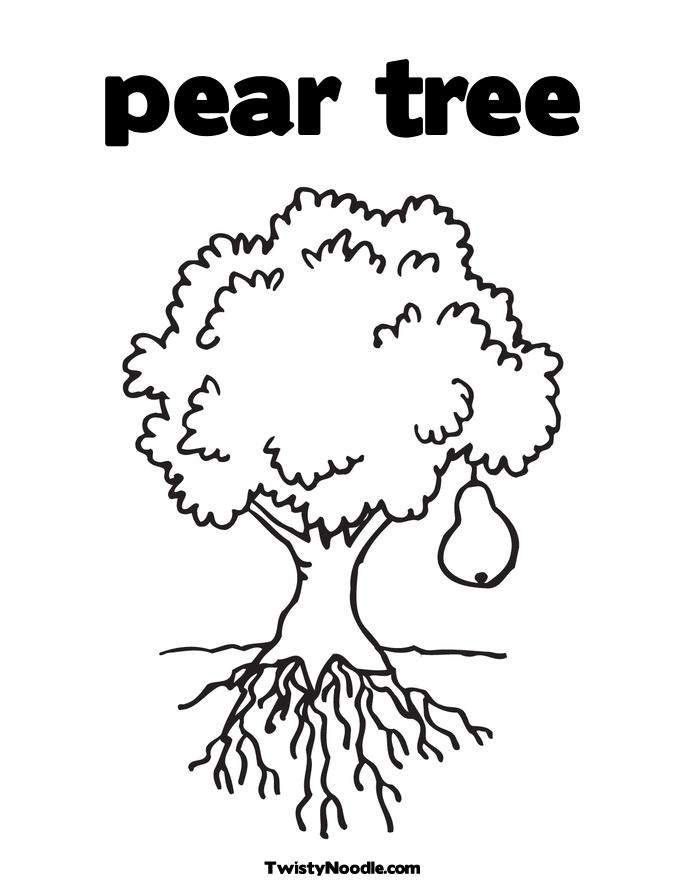 Pecan Tree Coloring Page Texas State Pecan Tree Coloring Coloring Pages