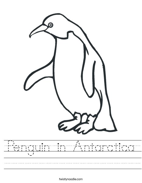 Worksheets Penguin Worksheets penguin in antarctica worksheet twisty noodle worksheet