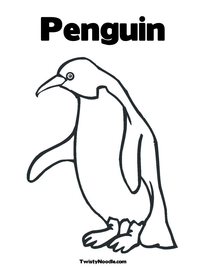 yellow eyed penguin coloring pages - photo #35
