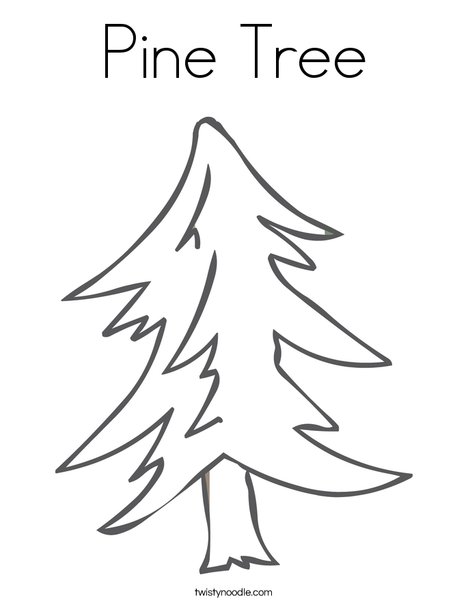 Pine Tree Coloring Page Pine Tree Coloring Page
