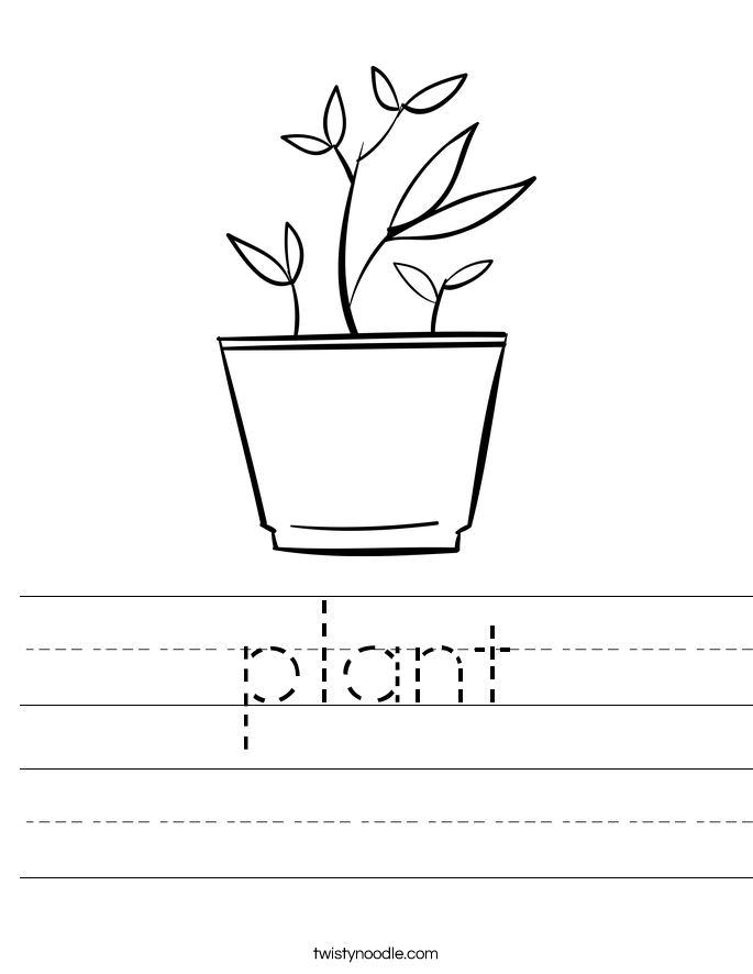 forest noodle the Noodle Twisty plant Worksheet forest noodle the Noodle Twisty plant Worksheet