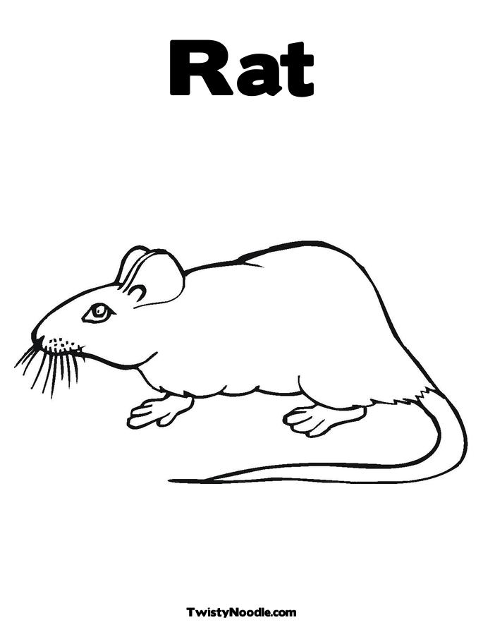 Rat Coloring Page