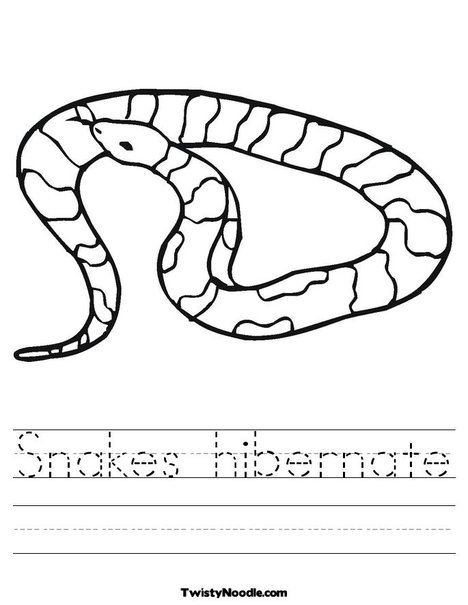 Snakes Hibernate