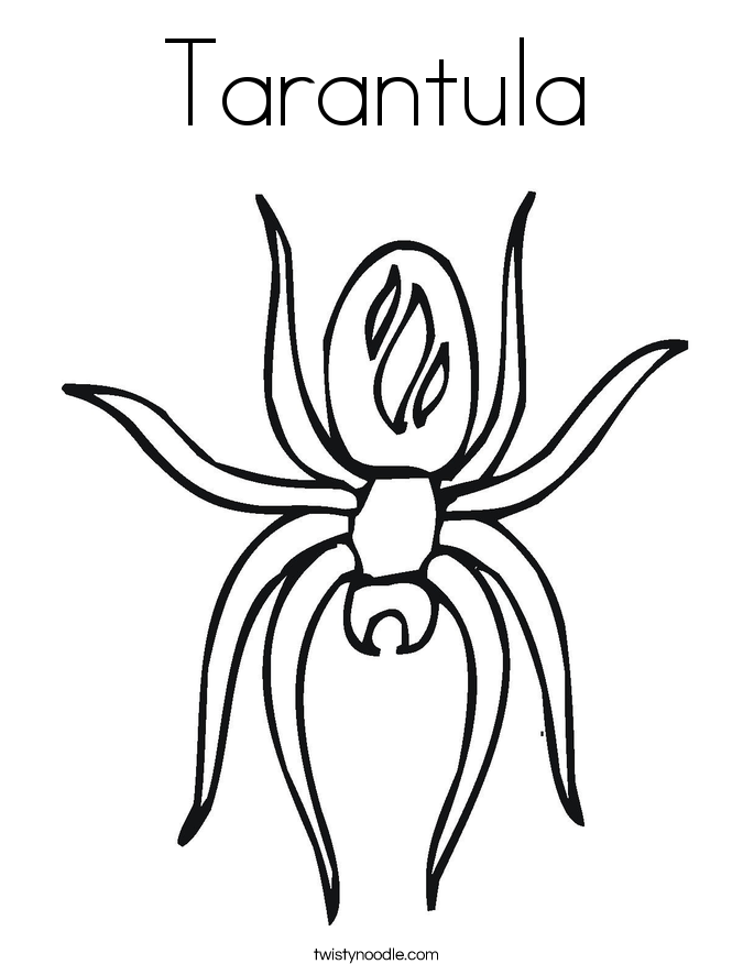 Tarantula Coloring Page - Twisty Noodle