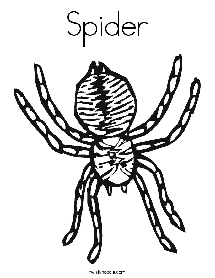 Spider Coloring Page - Twisty Noodle