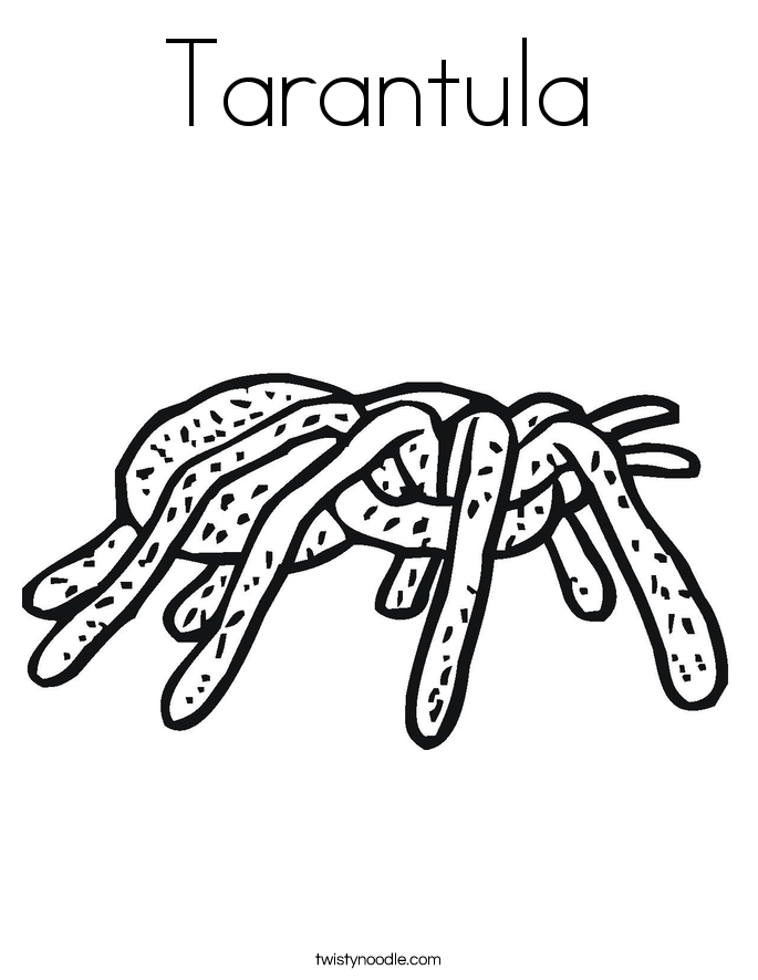 tarantule coloring pages - photo #21
