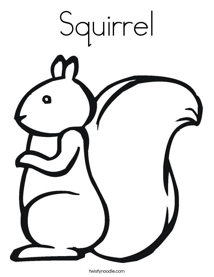 Squirrel Coloring Sheet Tree Pages Squirrel Coloring Sheet Tree Pages