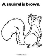 A squirrel is brown  Coloring Page